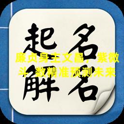 廉贞身主文昌，紫微斗  数精准预测未来